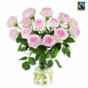 15 st långa, rosa Fairtrade-rosor. Ur Bringblooms sortiment.