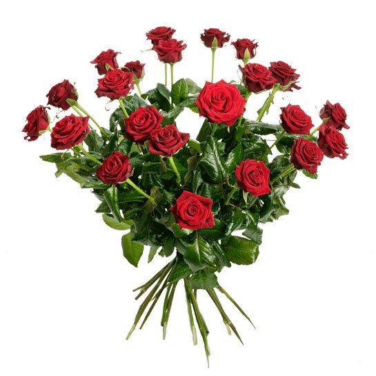 Stor bukett med 24 st röda rosor. Ur Interfloras rossortiment.