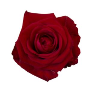 rosor betydelse interflora